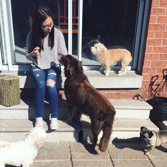 AE Distressed Jeggings - Picture 4 of 4